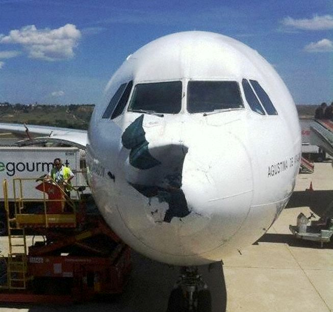 birdstrike