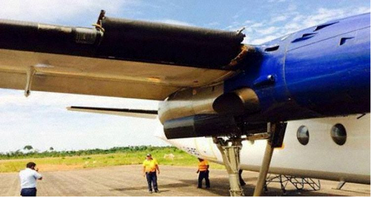 schianto aereo volatili